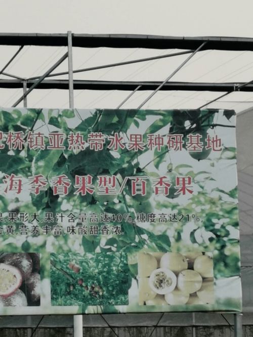 上海市果品行業(yè)協會秘書處負責人考察上海翠谷果蔬專業(yè)合作社
