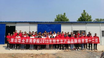 西紅柿黃瓜咋種 近300名壽光農民接受專業培訓