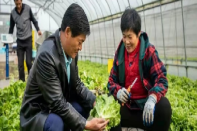 雙創(chuàng)帶頭人丨上海春昌蔬果專業(yè)合作社副理事長趙世豪 引領蔬果產業(yè)創(chuàng)新之路