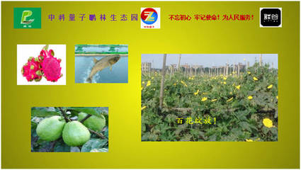 聯(lián)谷與中科量子鵬林生態(tài)園強強聯(lián)手，蔬果專業(yè)合作社譜寫民族品牌新篇章